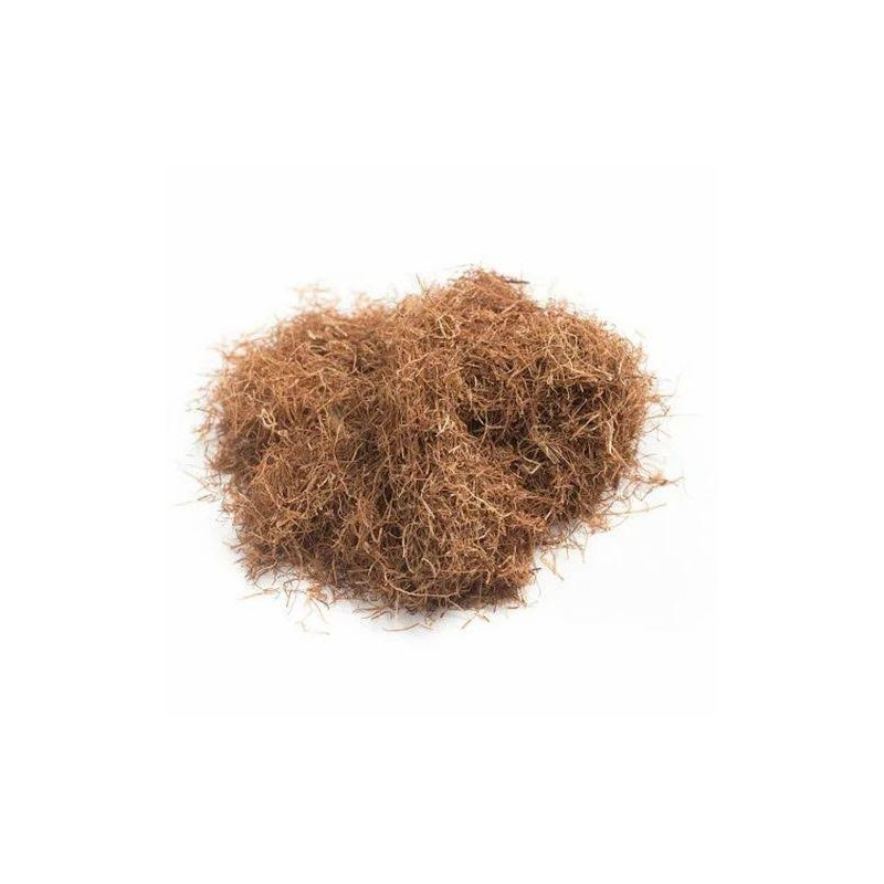 Buy Corn Silk (Makai Ke Baal) Online in Pakistan | Hafiz Pansar