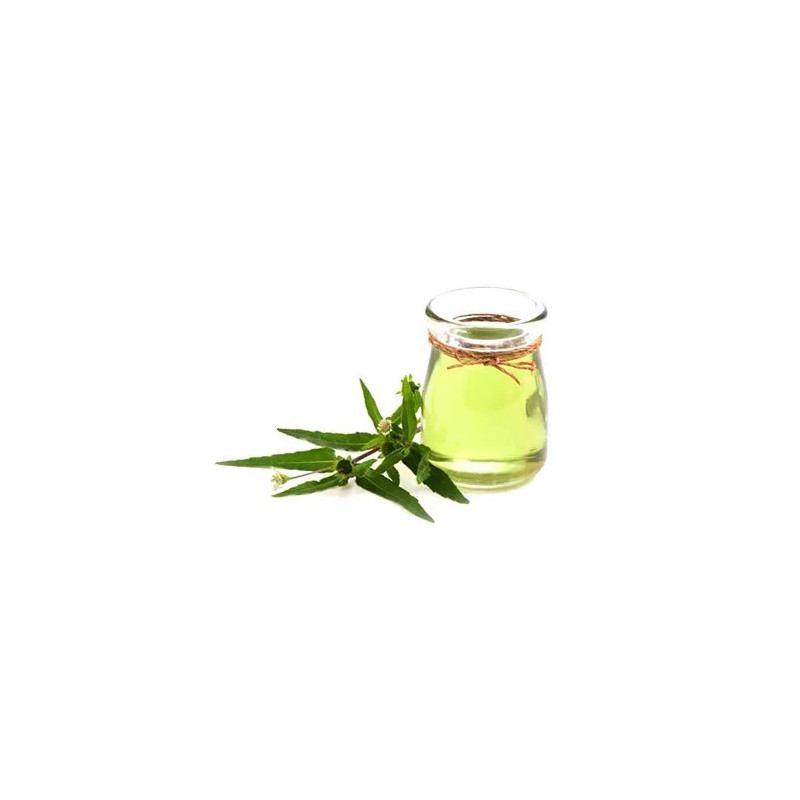 Bhringraj Oil