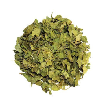 Gymnema Sylvestre (Gurmar Leaves)