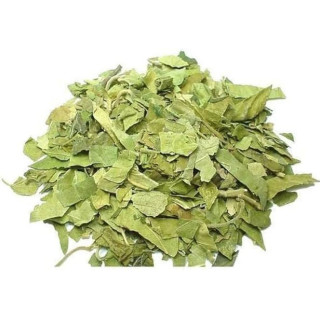 Buy Gymnema Sylvestre (Gurmar Leaves) in Pakistan – Sugar Control Herb | Hafiz Pansar