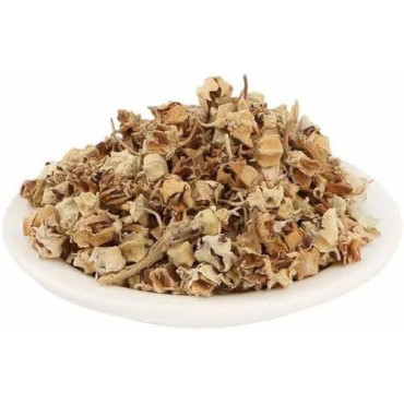 Crown Flower (Gul Madar/Aak Phool)