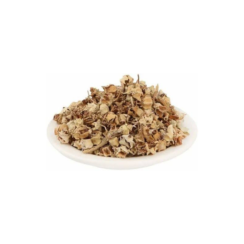 Buy Crown Flower (Gul Madar / Aak Phool) Online in Pakistan | Hafiz Pansar