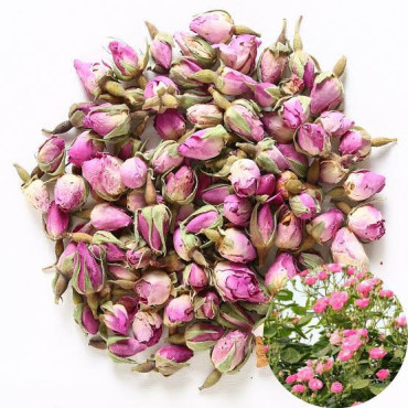 White Rose Petals (Irani Gulab)