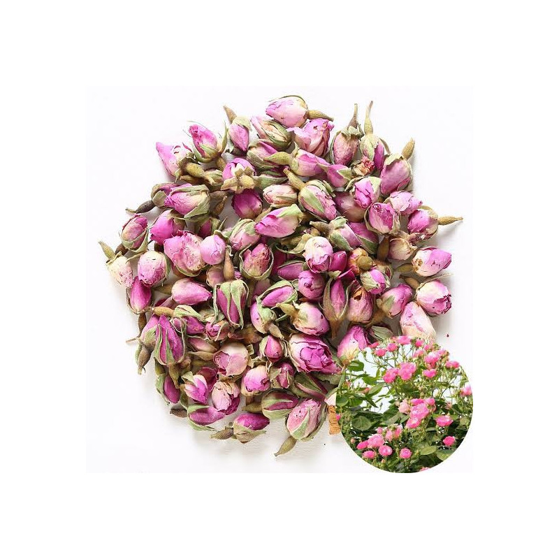 White Rose Petals (Irani Gulab)