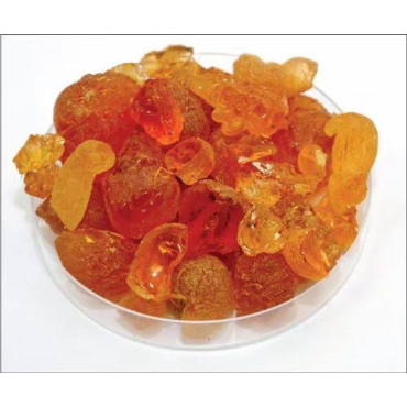 Babool Gum (Gond Phulai)