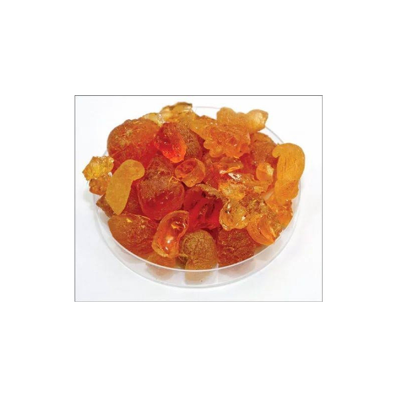 Babool Gum (Gond Phulai)