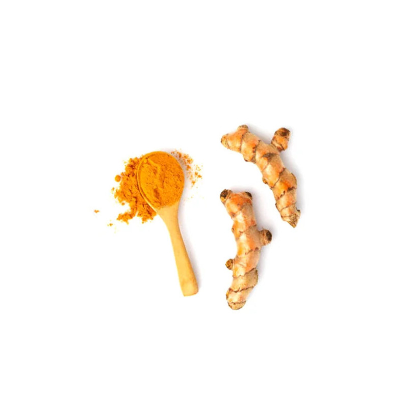 Turmeric Curcumin Extract