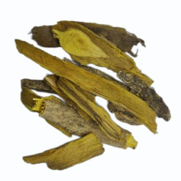Barberry Root (Sak Simbloo) – 100% Pure & Natural