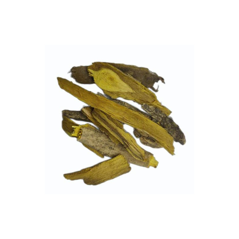 Barberry Root (Sak Simbloo) – 100% Pure & Natural