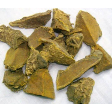 Wild Turmeric (Amba Haldi)