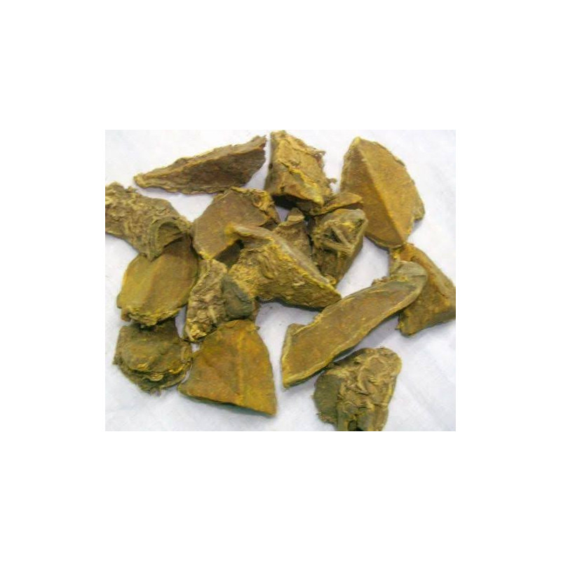 Wild Turmeric (Amba Haldi)