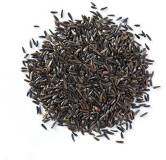 Basil Seeds (Tukhm e Malanga)