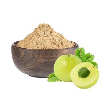 Buy Pure Amla Powder Online in Pakistan | Hafiz Pansar
