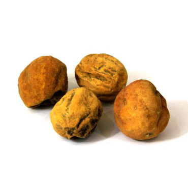 Bitter Apple (Hanzal/Tumhaa)