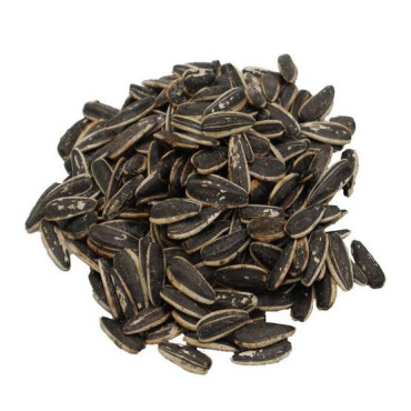 Buy Lemon Roasted Sunflower Seeds Online in Pakistan | Hafiz Pansar