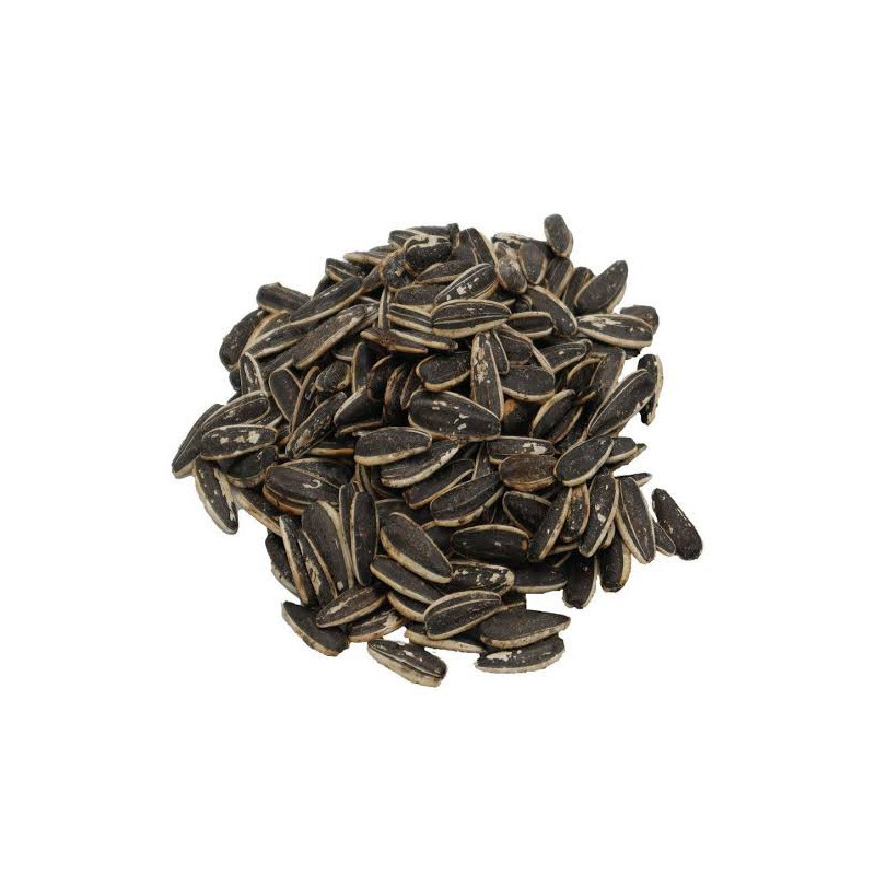Buy Lemon Roasted Sunflower Seeds Online in Pakistan | Hafiz Pansar