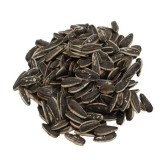 Buy Lemon Roasted Sunflower Seeds Online in Pakistan | Hafiz Pansar