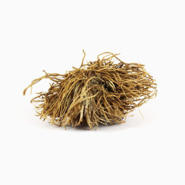 Bamboo Roots (Baans Jar)