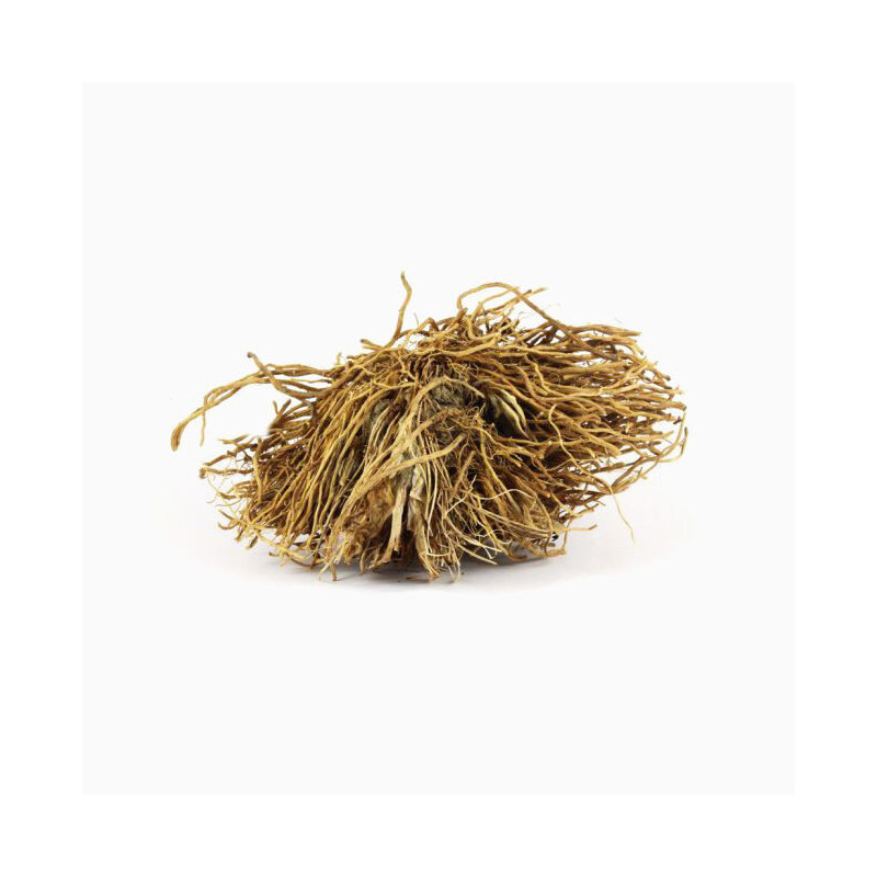 Bamboo Roots (Baans Jar)