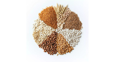 Seeds & Grains