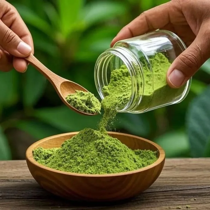Moringa Oleifera Powder Natural Aur Pure Fawaid Taseer Aur Sahi Istemal
