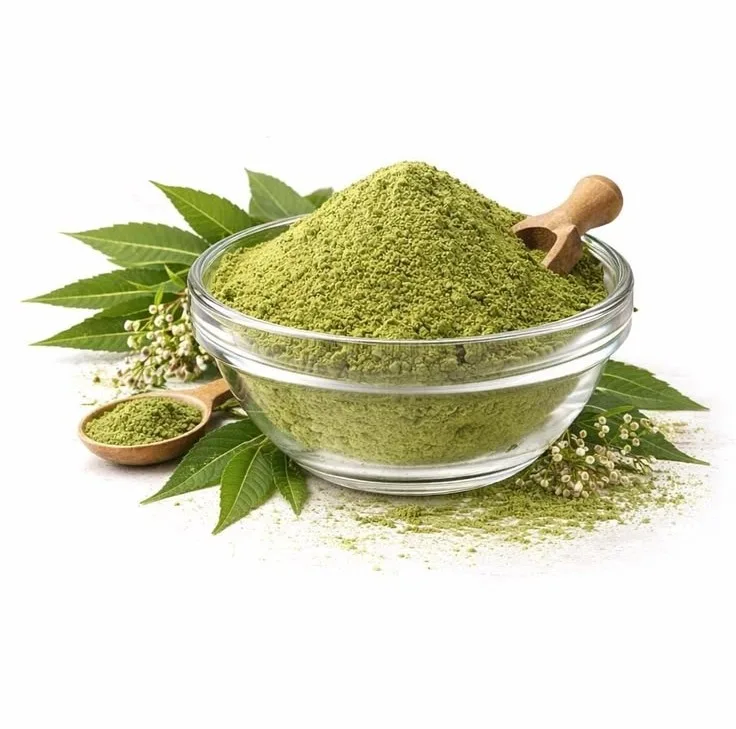 Neem Ke Pattay Aur Neem Powder Ke Fawaid, Taseer Aur Istemal Ka Sahi Tareeqa