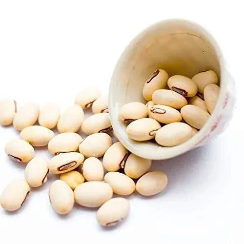 Konch Safed (Mucuna Pruriens) Ke Fawaid, Taseer Aur Istemal Ka Sahi Tareeqa