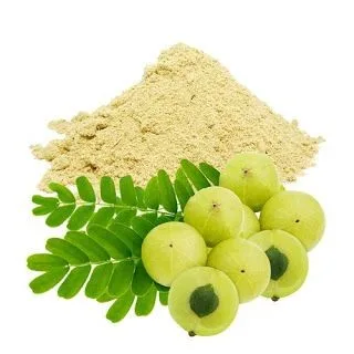 Amla Powder Ke Fawaid, Taseer Aur Istemal Ka Sahi Tareeqa